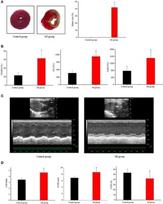 Proteomic Sequencing of Stellate Ganglions in Rabbits With Myocardial Infarction